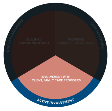 Active Involvement GreatCare Circle Pie
