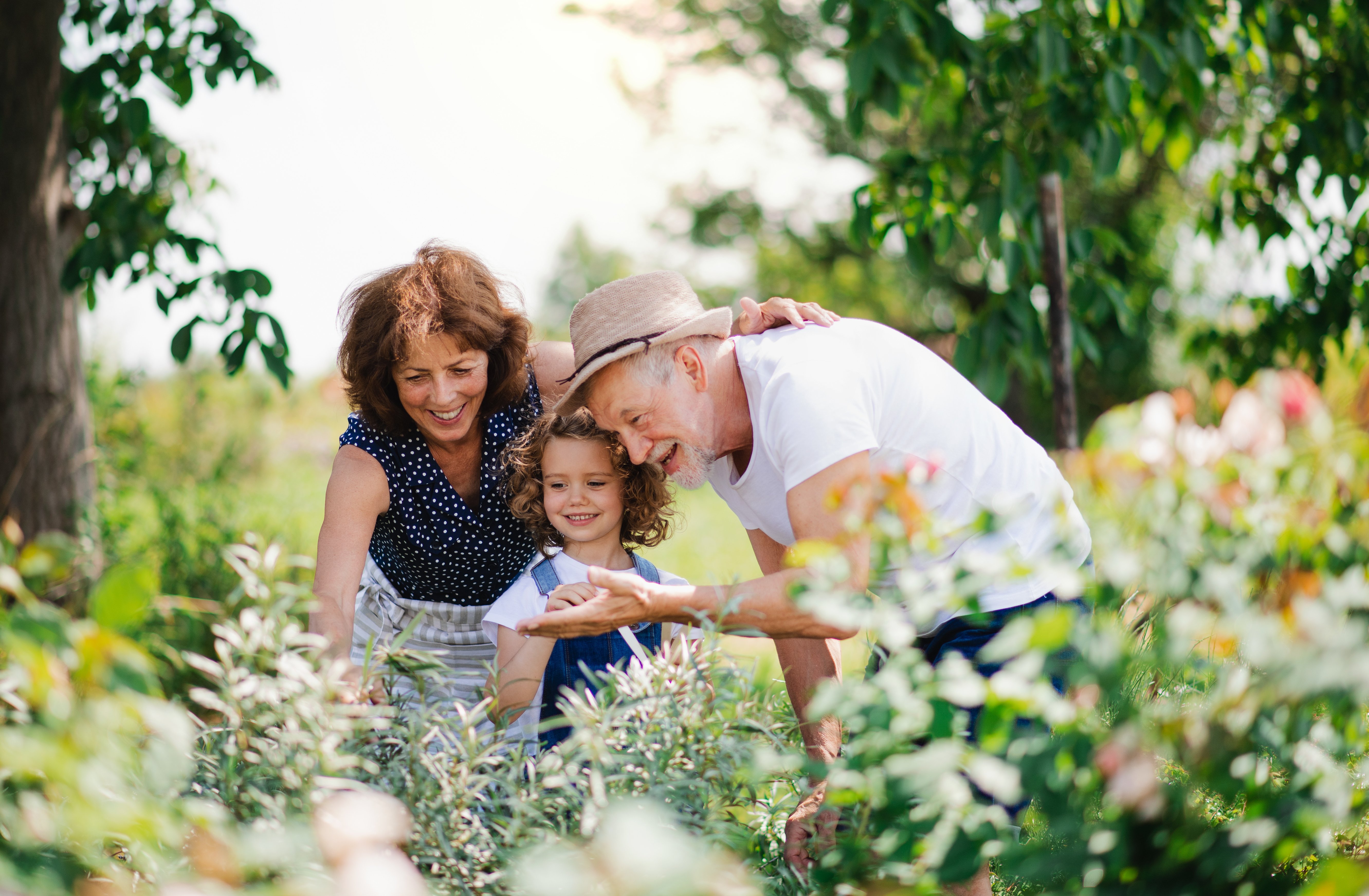 What Are the Health Benefits of Gardening for Seniors?