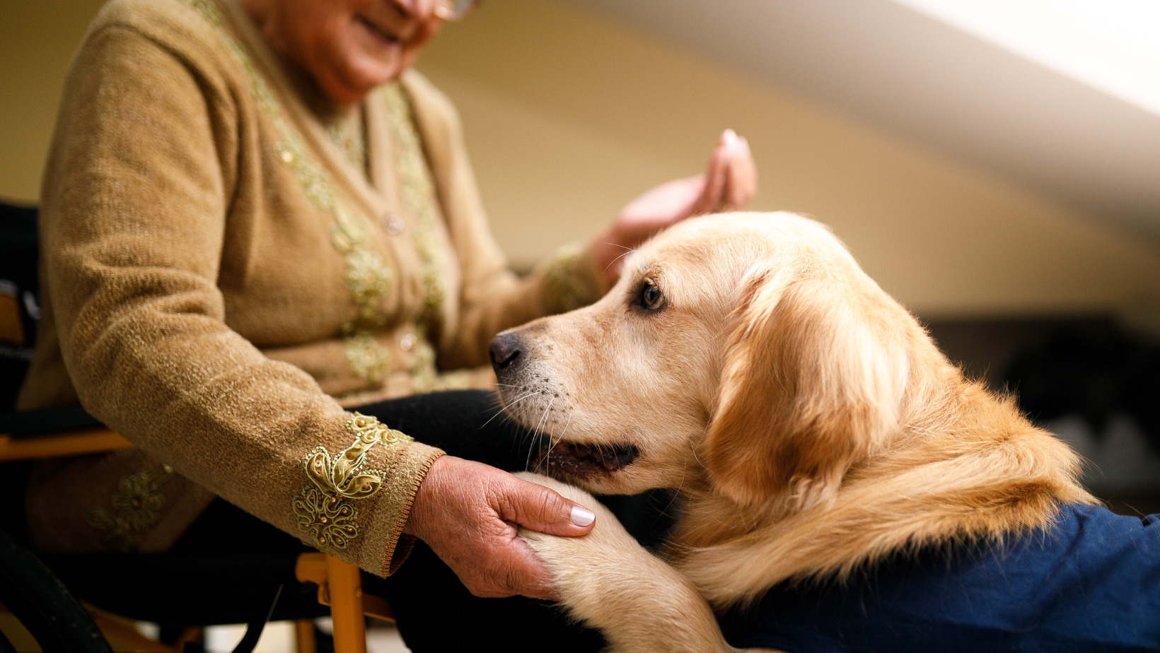 7 Ways Pets Help Seniors with Dementia 