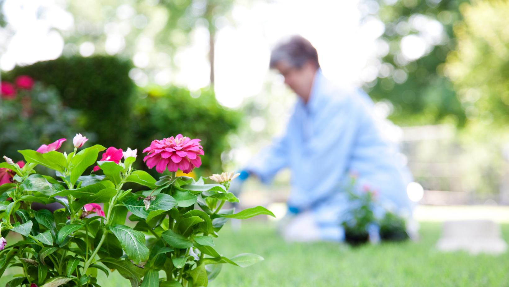 Safe Gardening Tips for Seniors