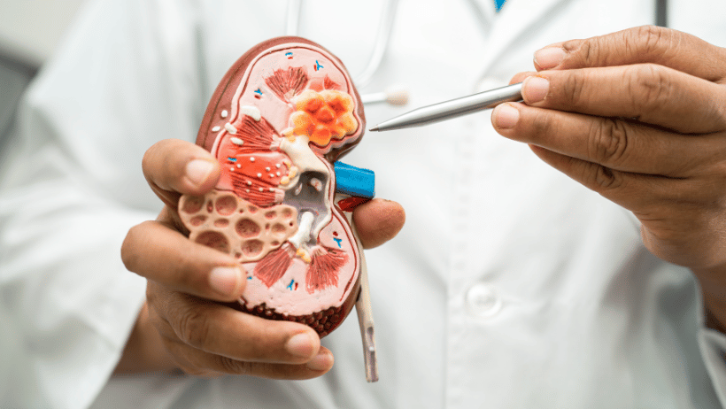 Basics of Chronic Kidney Disease