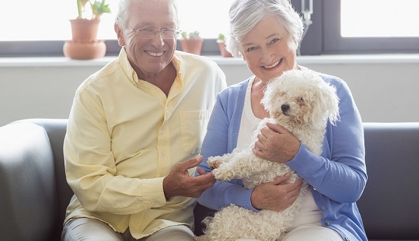 What Therapy Pets Can Do For Seniors